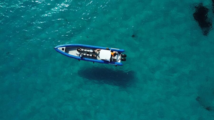 Nice: Lerins Islands Boat Tour with Snorkeling - Key Things I’d Plan Around