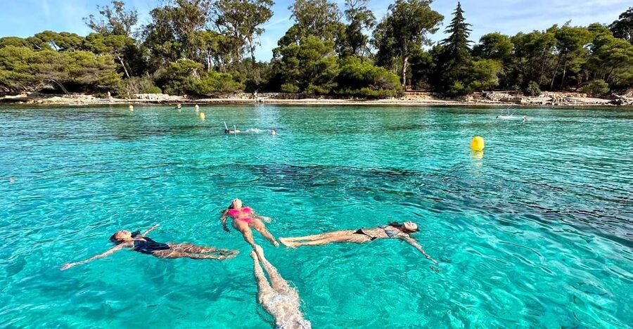 Nice: Lerins Islands Boat Tour with Snorkeling - First, Picture The Day: 4 Hours, Real Water Time