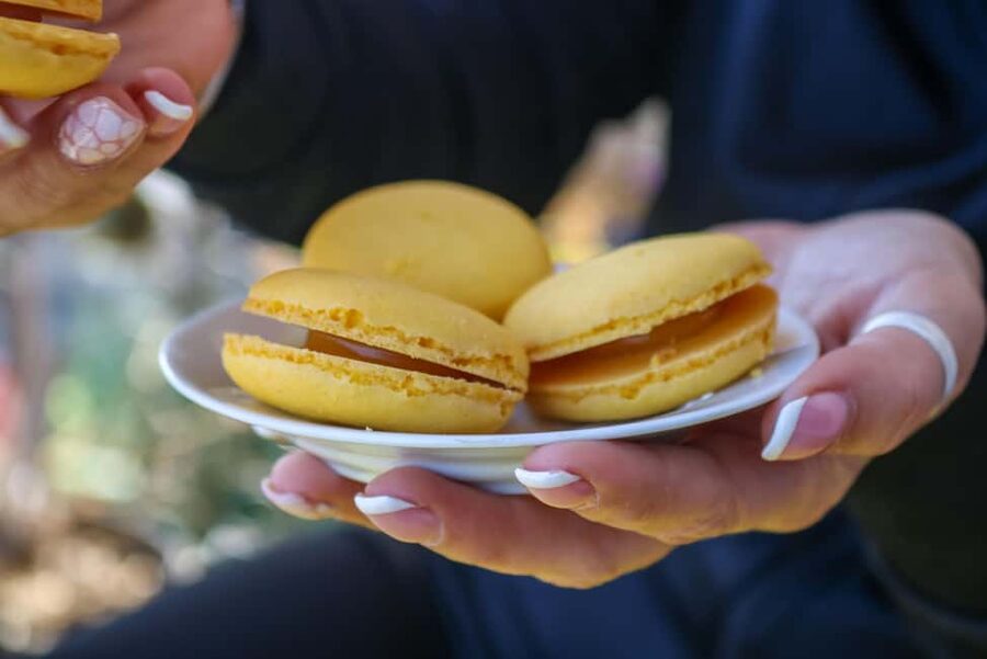 Nice: Old Town Food Walking Tour - Nice classics to look for: socca, salad niçoise style, and ratatouille