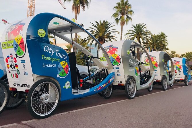 Nice: private guided Tour by electric taxi bike - Promenade du Paillon and Promenade des Anglais: Two Very Different Feels