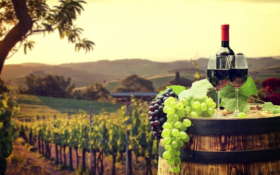 Nice: Provence Village Tour with Wine and Produce Tasting - Key moments to plan around