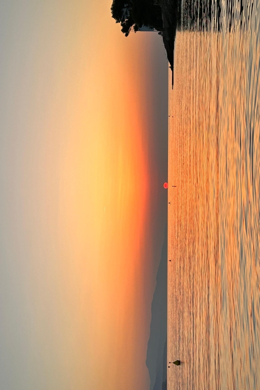 Nice: Saint Jean Cap Ferrat Sunrise Boat Trip with Breakfast - Dolphins at first light: realistic chances and good odds