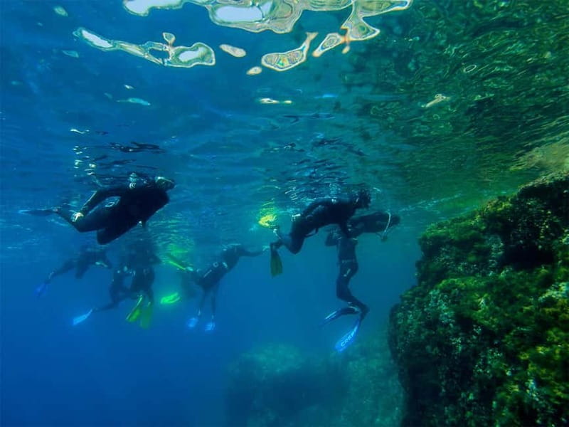 Nice: Snorkeling Speedboat Tour in Villefranche Bay - Speedboat Snorkeling from Nice to Villefranche: the view is the warm-up