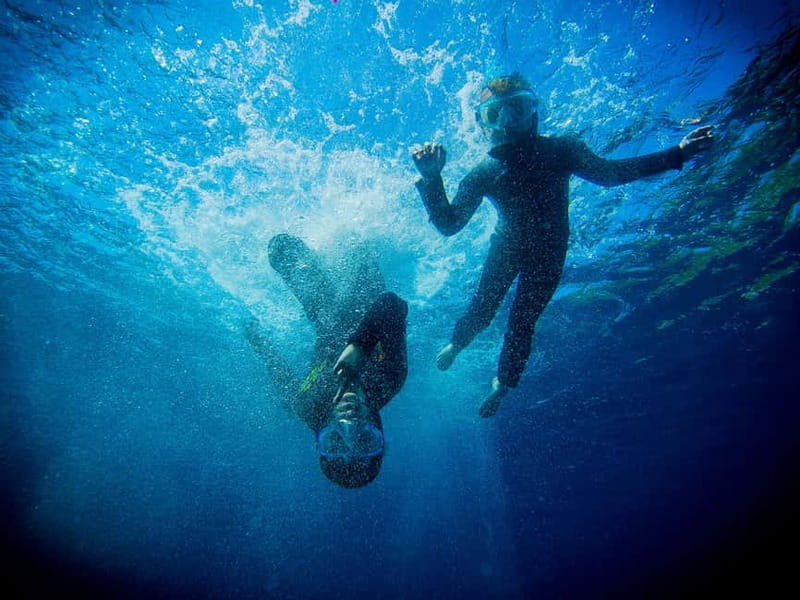 Nice: Snorkeling Speedboat Tour in Villefranche Bay - Safety and comfort: non-swimmer rules, jellyfish reality, and in-water support