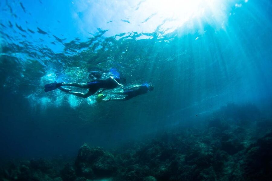 Nice: Snorkeling Speedboat Tour in Villefranche Bay - Who should book this snorkeling speedboat, and who should skip it