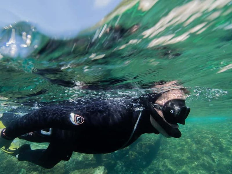 Nice: Snorkeling Speedboat Tour in Villefranche Bay - Final call: should you book this Nice to Villefranche snorkeling tour?