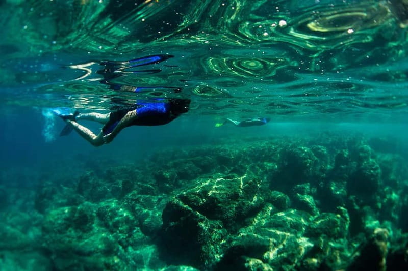 Nice: Snorkeling Speedboat Tour in Villefranche Bay - Villefranche-sur-Mer snorkeling: what you’re really there to see