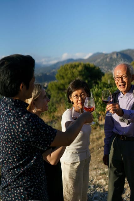 Nice: Vineyard Tour with Wine Tasting - Bellet Views You Can Actually Photograph