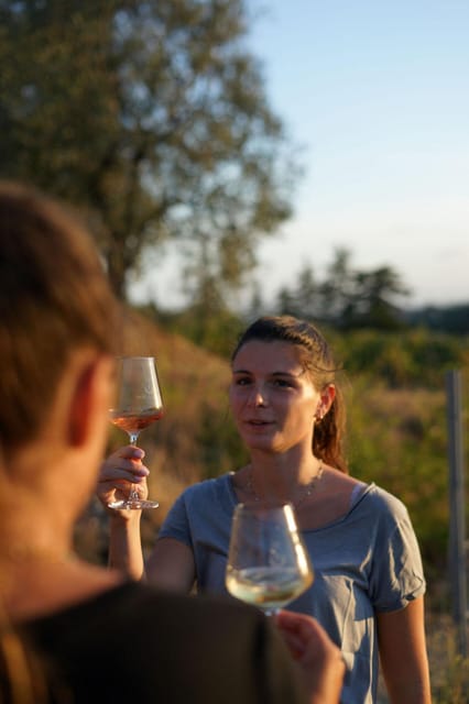 Nice: Vineyard Tour with Wine Tasting - The 3-Wine Tasting: How to taste like the guide wants you to