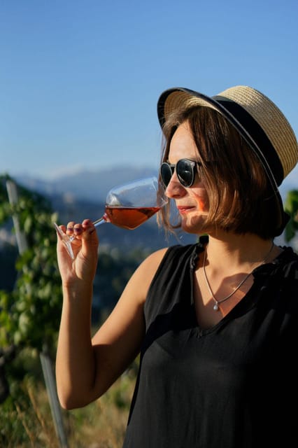 Nice: Vineyard Tour with Wine Tasting - Who this tour suits best (and who should skip it)