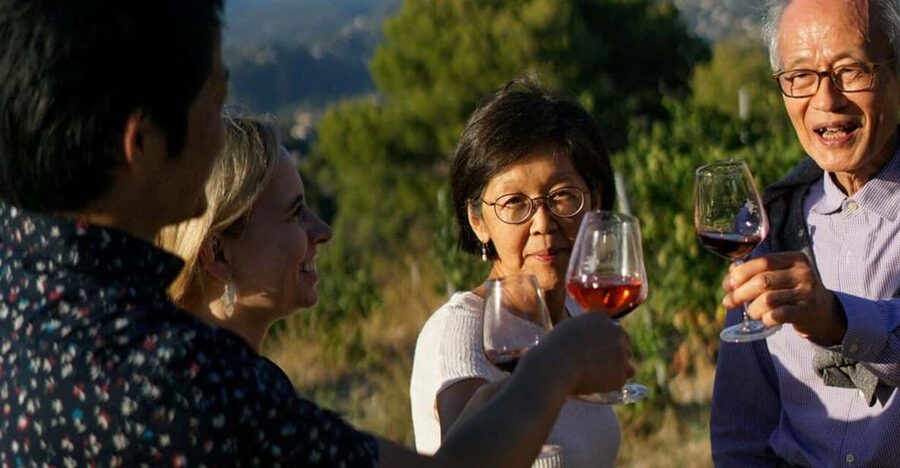 Nice: Vineyard Tour with Wine Tasting - Getting to Château de Bellet from Nice (Transfer vs DIY)