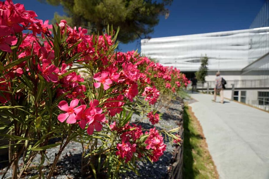 Nîmes: Musée de la Romanité Skip-the-Line Entrance Ticket - Skip-the-line logistics: when it matters and how to plan your timing