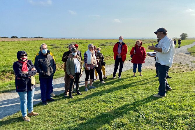 Normandy American D-Day Beaches Full Day Tour from Bayeux - Pointe du Hoc: The 90-Foot Climb And The Bunker Reality