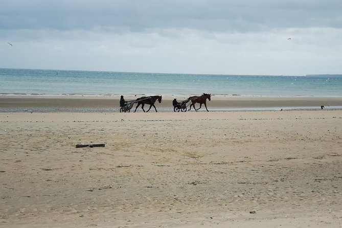 Normandy Beaches Half-Day Afternoon Trip from Bayeux (A2) - How the guide shapes your experience (and what you can do about it)