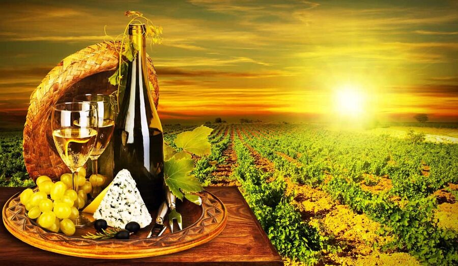 Organic Wine Tasting with Saint paul Half Day Tour from Nice - From Nice Pickup to the Provence Drive South