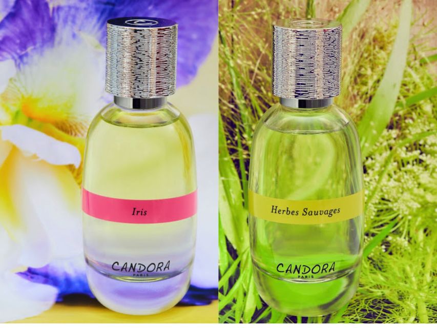 Paris: 2-Hour Perfume Creation Workshop - Why This Candora Workshop Feels Like a Real Paris Find