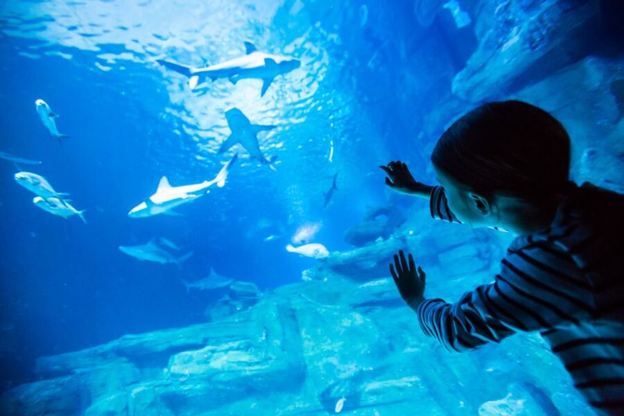 Paris: Aquarium de Paris Entrance Ticket - Key Highlights That Make This Worth It