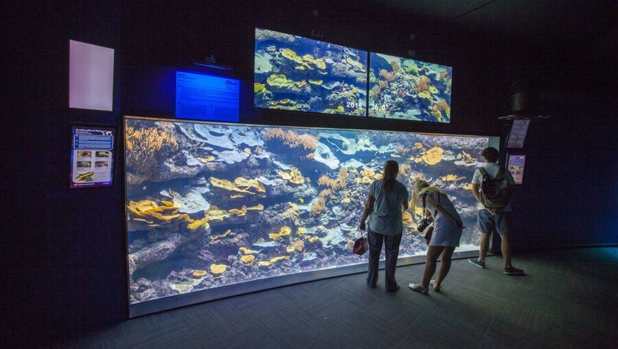 Paris: Aquarium de Paris Entrance Ticket - Practical tips that save you time in Paris