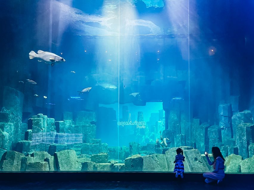 Paris: Aquarium de Paris Entrance Ticket - Aquarium de Paris by Trocadéro, start with the right mindset