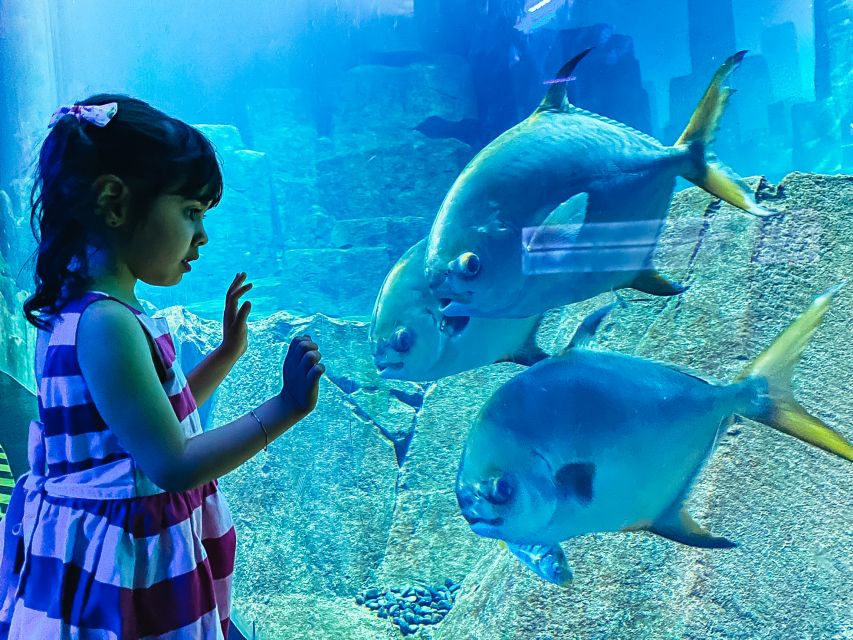 Paris: Aquarium de Paris Entrance Ticket - Jellyfish, koi, and the global ocean feel in a compact space