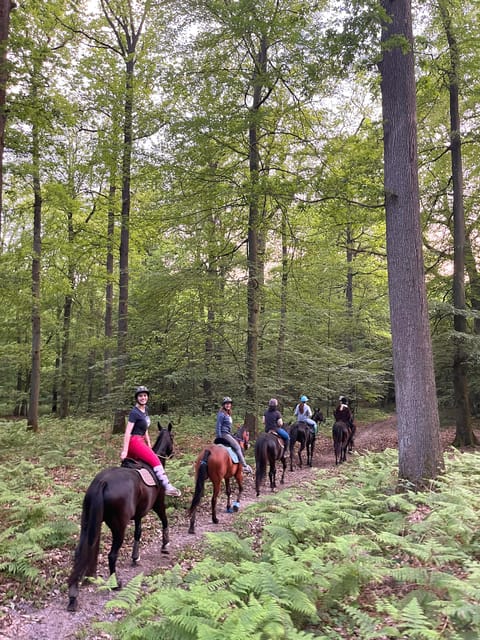 Paris: Aumont-en-Halatte Horseback Riding Tour - Should you book this horseback ride near Paris?