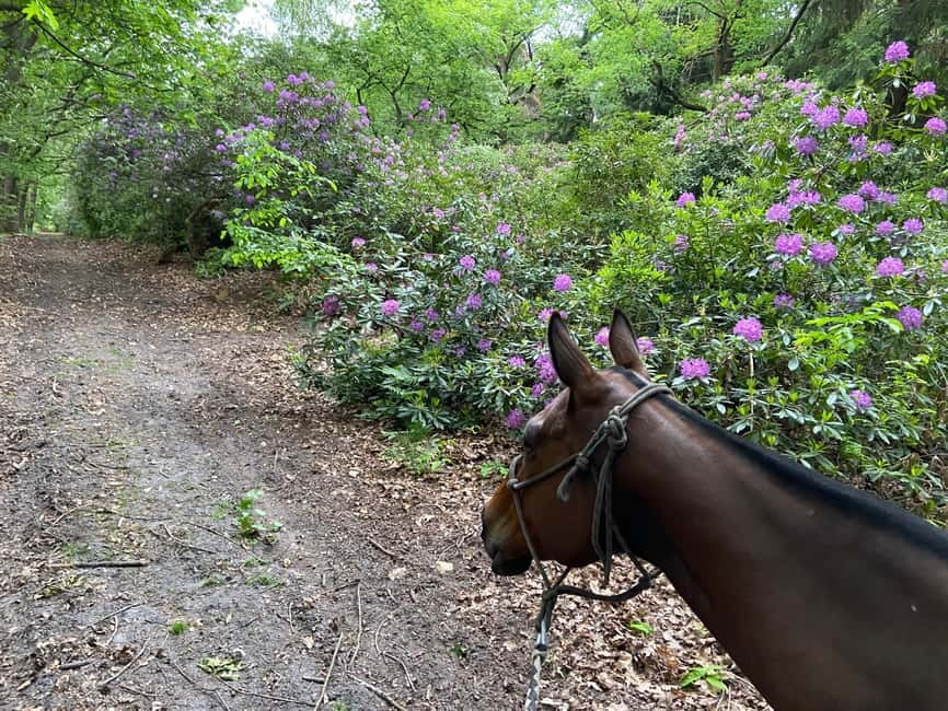 Paris: Aumont-en-Halatte Horseback Riding Tour - Getting started at La Horse Club: check in and gear up