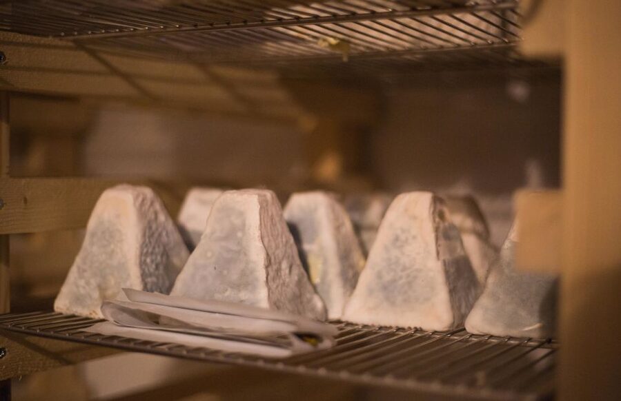 Paris: Cheese and Wine Class in a 17th Century Cellar - Key highlights worth showing up for