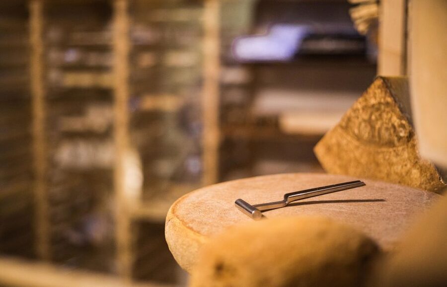 Paris: Cheese and Wine Class in a 17th Century Cellar - Cheesemaking basics you can taste, from milk to maturing