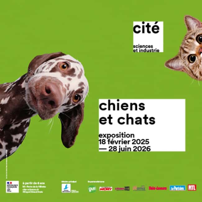 Paris: City of Science and Industry Museum Entry Ticket - Planetarium show: good odds if you plan for the waiting line
