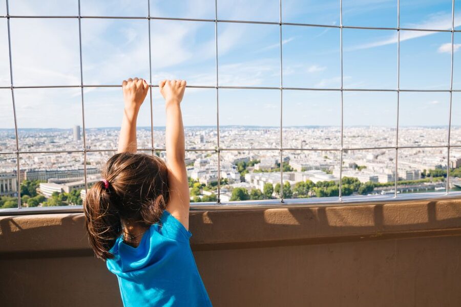 Paris: Eiffel Tower 2nd Floor Access or Summit Access - Who should book this Eiffel Tower ticket, and who might not