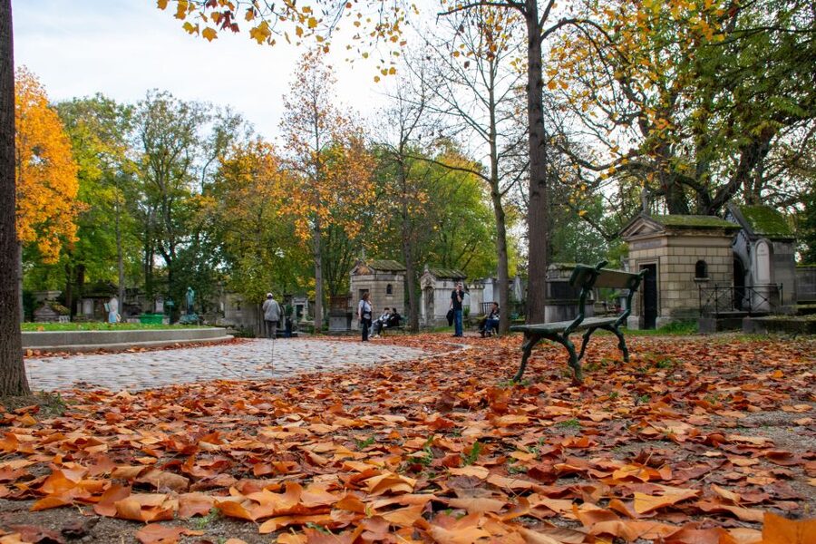 Paris: Full-Day Custom Tour with Local Guide - Hôtel de Ville and Le Marais: food, shopping, and living Paris
