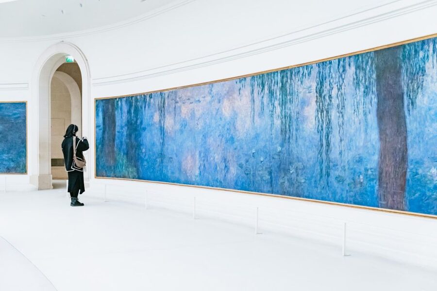Paris: L'Orangerie & Monet's Water Lilies Guided Tour - Key things to know before you go