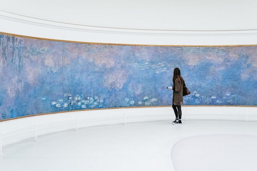 Paris: L'Orangerie & Monet's Water Lilies Guided Tour - Cézanne, Matisse, Picasso, and friends: what the guide turns into a story