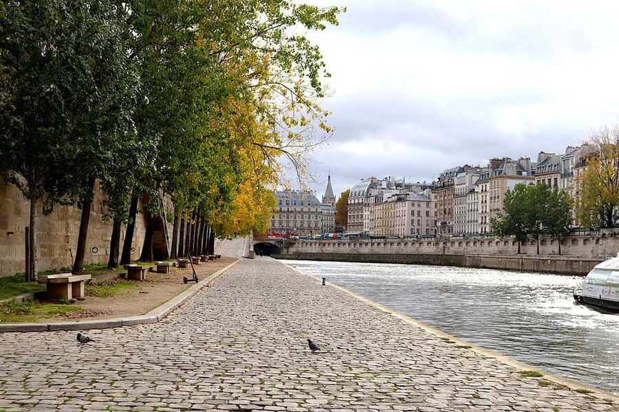 Paris: Latin Quarter Walking Tour with Local Guide - Shakespeare and Company and Saint-Julien-le-Pauvre, books plus medieval craft