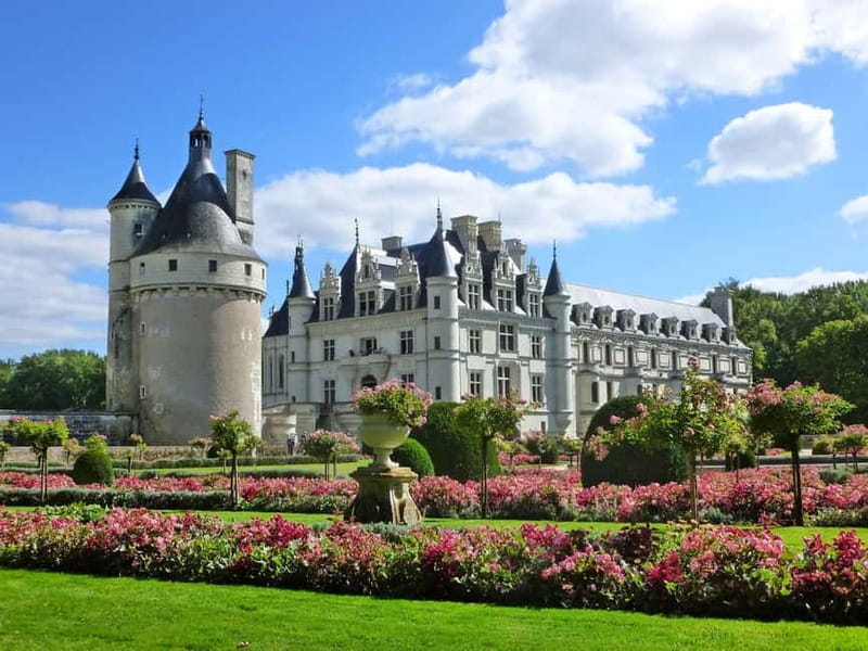 Paris: Loire Valley Castles Tour with Wine Tasting - Winery tour and tastings, with Loire wines you can actually compare