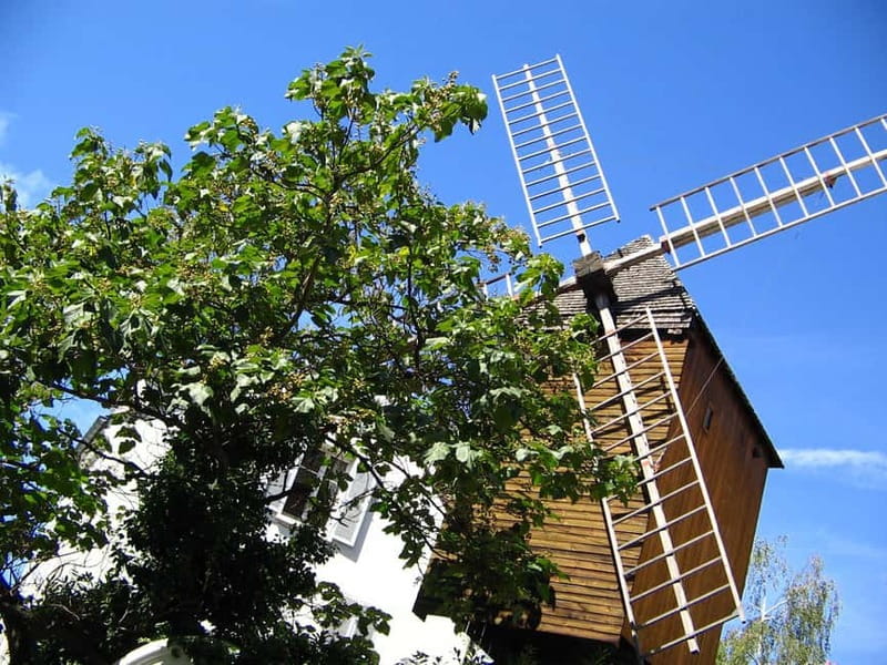 Paris: Montmartre Private Guided Walking Tour - Key things you should know before you go
