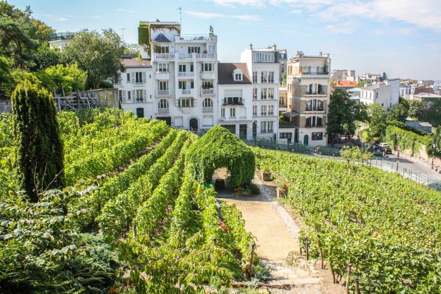 Paris: Montmartre & Sacre Coeur Guided Tour 12 guests 2,5h - Place du Tertre, Moulin Rouge, and Cabaret History You Can Point To