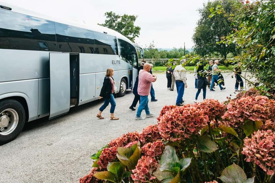 Paris: Normandy D-Day Sites Guided Day Trip with Lunch - Key points you should care about