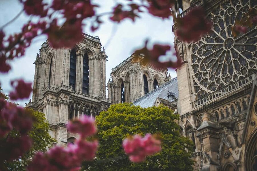 Paris: Notre Dame Cathedral Tour & Seine River Cruise - Who this tour fits best (and who should rethink it)