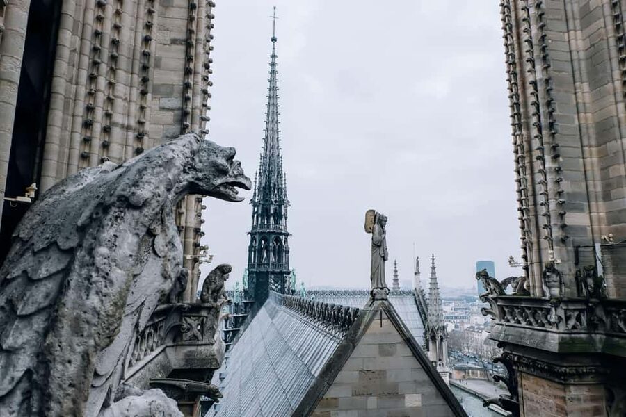 Paris: Notre-Dame The Restored Masterpiece Guided Tour - Your 45 to 75 minute Notre-Dame game plan from Cité