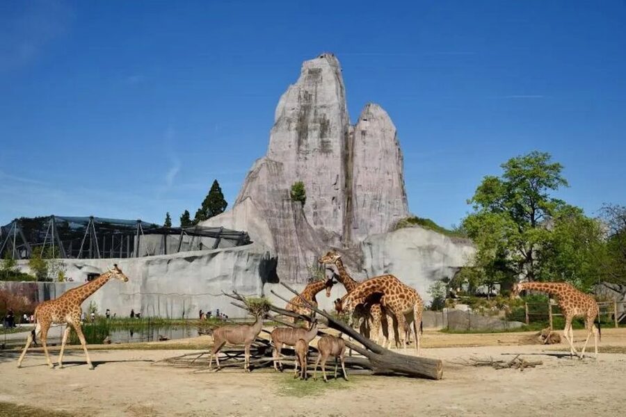 Paris: Paris Zoological Park Entrance Ticket - A city zoo with world geography built into the walk