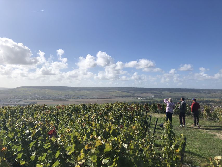 Paris: Private Day Trip to Champagne with 8 Tastings & Lunch - Who This Tour Fits Best (And Who Should Skip It)