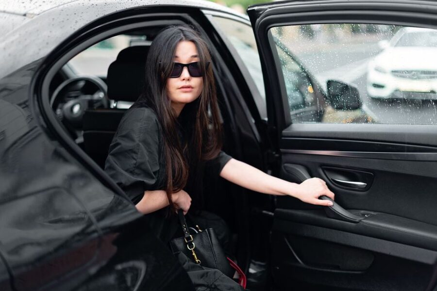 Paris: Private Tour by Chauffer-Driven Car - Who this Paris private car tour is best for