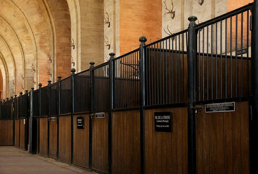 Paris: Private Tour of Domaine de Chantilly Ticket&Transfer - Practical tips to make your 7 hours work