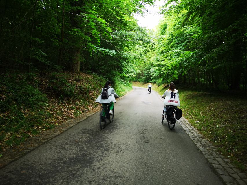 Paris: Versailles Palace and Queen Hamlet E-Bike Tour - Grand Trianon and Petit Trianon pass-by: quick context before the Hamlet