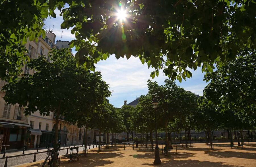 Paris: Walking Tour with Notre Dame or Ste-Chapelle Access - Notre-Dame option after the 2019 fire, plus an optional guided interior visit