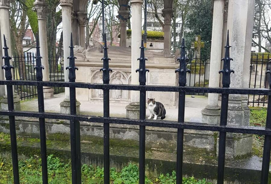Père-Lachaise : histoires et mystères contés par un comédien - Should you book Père-Lachaise histoires et mystères contés par un comédien?