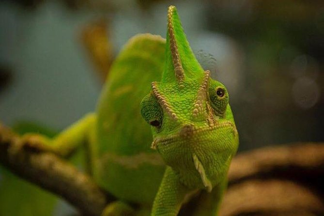 Planet Exotica entrance ticket - Key Highlights You Should Know Before You Go