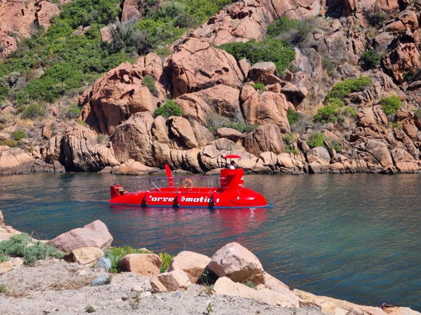 Porto : Discovery of the marine fauna and flora/Bay of Porto - Key highlights to know before you go