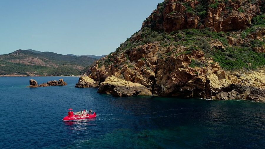 Porto : Discovery of the marine fauna and flora/Bay of Porto - Why Porto Bay marine life looks different from a semi-submarine window